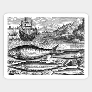 Ancient of Fish Sticker